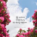 영남한식