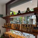 엘스토어(L.STORE)