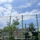 올디스 - 창원시 마산합포구 | 올디스