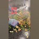 흑돼지 삼겹살 흑돼지 목살 초대형 행주산성 철판요리 전문점 맛집 고양특례시 맛집 여행 시 참고하세요 이미지