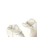 중앙허브치과의원 이미지