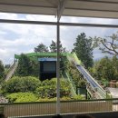 돼지야놀자 이미지