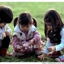 밀밭사랑 이미지