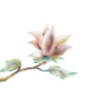 몽상화 이미지
