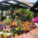 타샤의정원 이미지