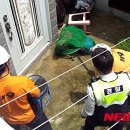 하단1동-11 이미지