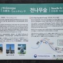 오대산숯