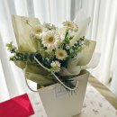 마미플레르 이미지