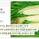 수봉