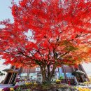 영오면사무소 이미지