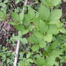 풍성한마트 이미지