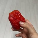 지평선생뒷고기 | *안녕! 2023, 안녕? 2024*