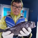 네이처그린 이미지