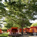 중문진실캠핑장 이미지