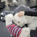 춘옥이네 이미지