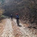 팽나무 펜션 이미지