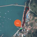 완도 맹선리 상록수림 이미지