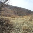 금곡농장 이미지