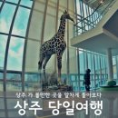 상주박물관 | 상주 관광지를 알차게 돌아본 당일치기 상주여행 후기