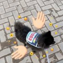 강아지정원 | 2025 울산 펫페스티벌 나이트 댕댕런 참가 후기 강아지 태화강국가정원 걷기대회 기념품