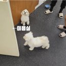 멈무살롱 이미지