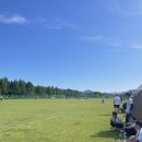 선동잔디구장 천연잔디구장 이미지