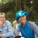 꿈꾸는정원 이미지