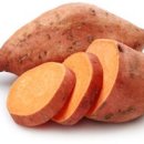 성인 요가 B 이미지