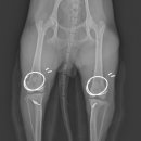 다나은 동물병원 이미지