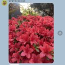 NR-30[달구벌대로]-하-44 | 서른, 울쎄라 ,쿠리만주