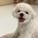플레이멍 이미지
