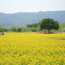 장자호수공원 생태체험관 이미지