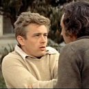 에덴의동쪽 이미지