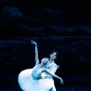 2021 수원발레축제 이미지