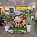 산호동116 | 마산 산호동 맛집 해운대손큰 해물칼국수