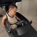 황보라 카카오 검색결과