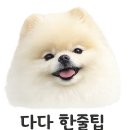 운정호수동물메디칼센터 | 파주 운정스타필드 애견동반 식사｜제스티살룬 펫라운지 후기