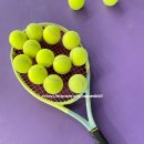 부여 강남 스크린 | 락테니스 가로수길점 테니스 레슨 후기 가로수길놀거리로도 충분