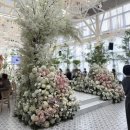 (주)바실리움 | 💍W02. 분당 야탑역 더바실리움 홀투어 솔직후기 (27년도 상반기 견적공유)