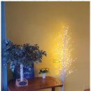 청주키즈캠핑장 | 청주캠핑장 자연과 놀이가 함께하는 청주키즈캠핑장 후기