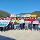 다대조성 이미지