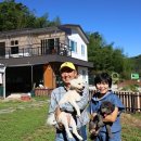 안고농장 이미지