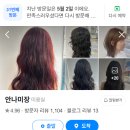 안나미장