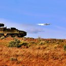 제5군단사령부(육군제6711부대) | 독일에서 대전차 훈련중인 미 육군 M1134 Stryker 대전차 장갑차
