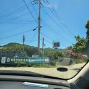 명옥헌원림2(입구) 이미지