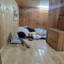 애견동반 밀양테마수영장 이미지