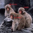 신서만물