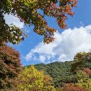 지리산 단풍비 | 지리산 단풍 캠핑 최고의 명소. 달궁2야영장 리모델링 후기