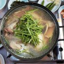 경기둘레길 가평19코스 | 경기둘레길 가평 19코스 보아귀골 용추계곡 구간 맛집 카페 강아지 동반 정보