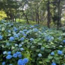 영광 매간당 고택 이미지